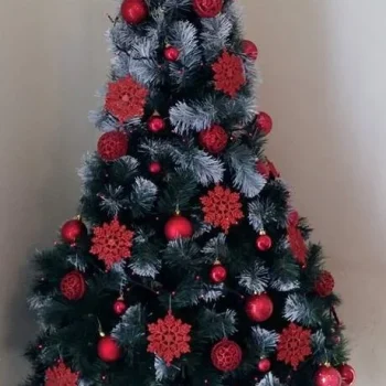 24829070 10213154117514876 1862975210 N.jpg