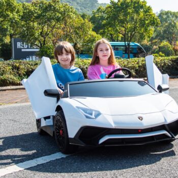 A8803 Lamborghini Aventador Sv White 7 Scaled 2.jpg