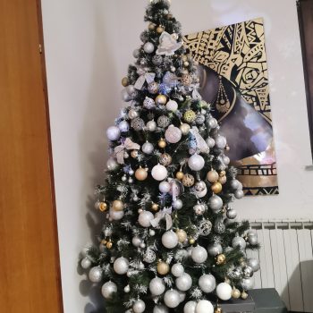 Img 20241110 095344 095532
