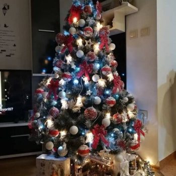 Umjetni Bor Beata Slika 105572743.jpg