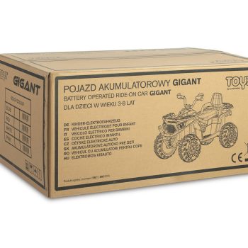 Quad Na Akumulator Gigant 12v 11