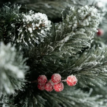 Umjetni Bor Christmas Carol 1