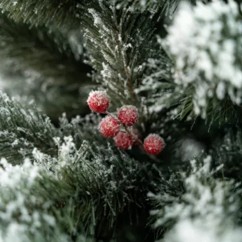 Umjetni Bor Christmas Carol 2
