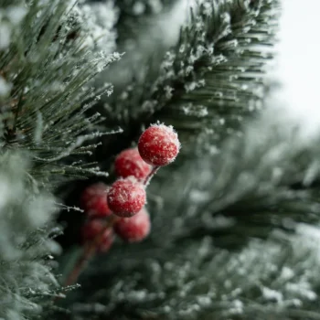 Umjetni Bor Christmas Carol 4