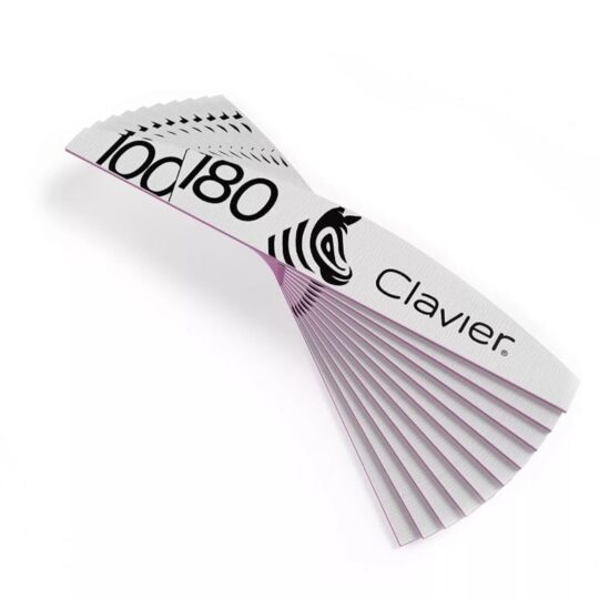 Clavier zebrasta rašpa 100/180 10 kosov