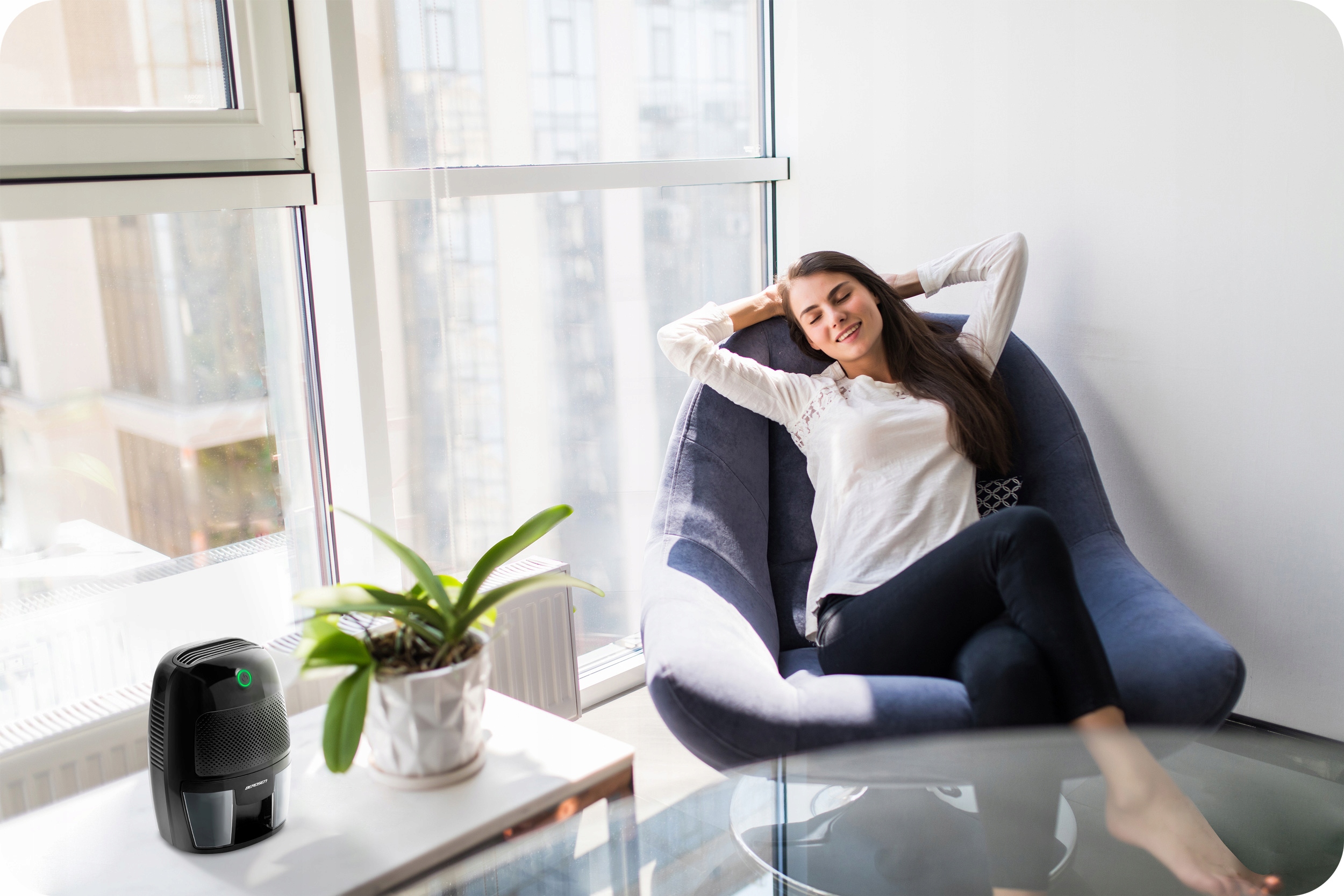 RAZVLAŽEVALEC ZRAKA IN ABSORBTOR VLAGE 500 ml 23 W + AVTOMOBILSKO NAPAJANJE 12 V Berdsen