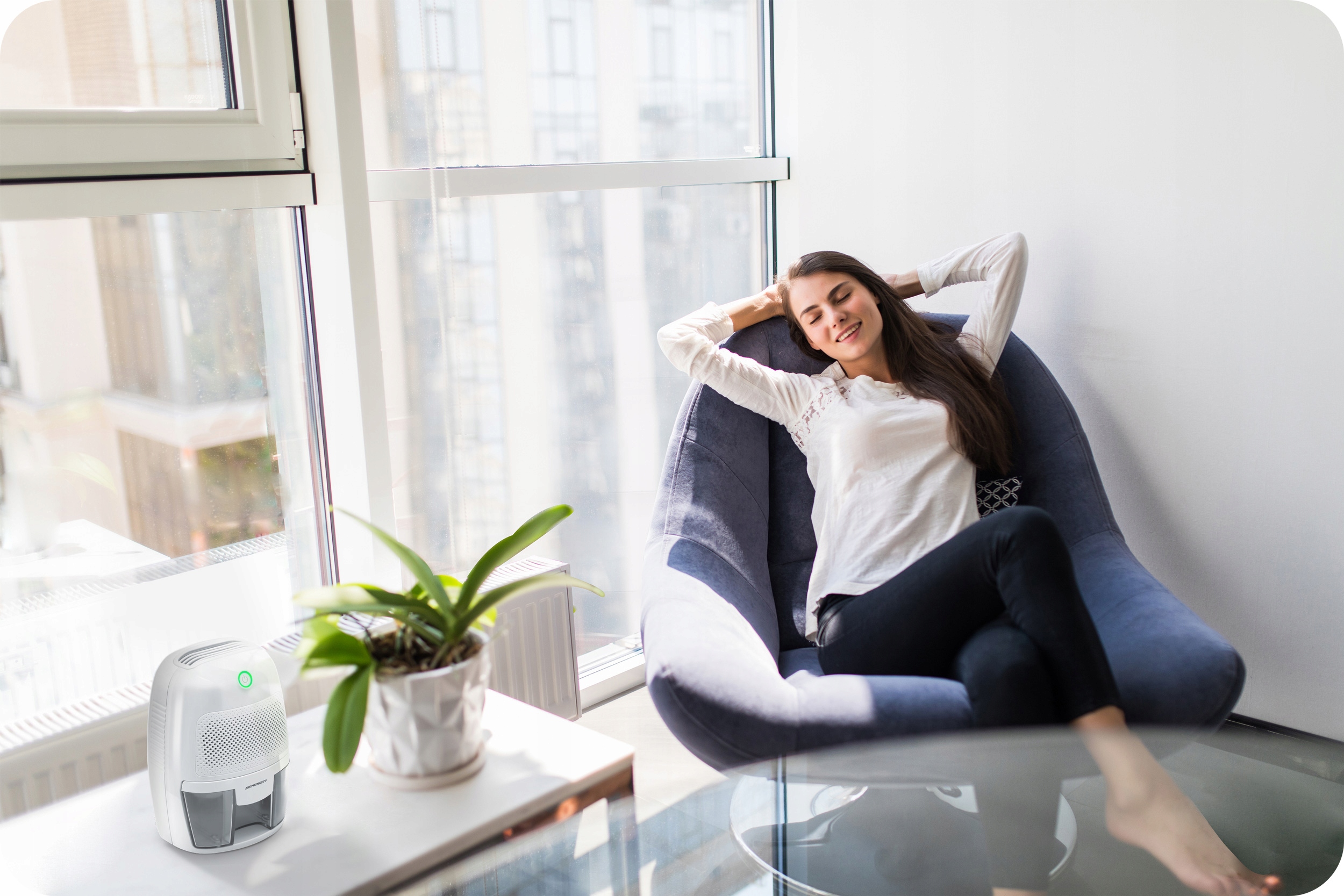 RAZVLAŽEVALEC ZRAKA IN ABSORBTOR VLAGE 500 ml 23 W + AVTOMOBILSKO NAPAJANJE 12 V Berdsen