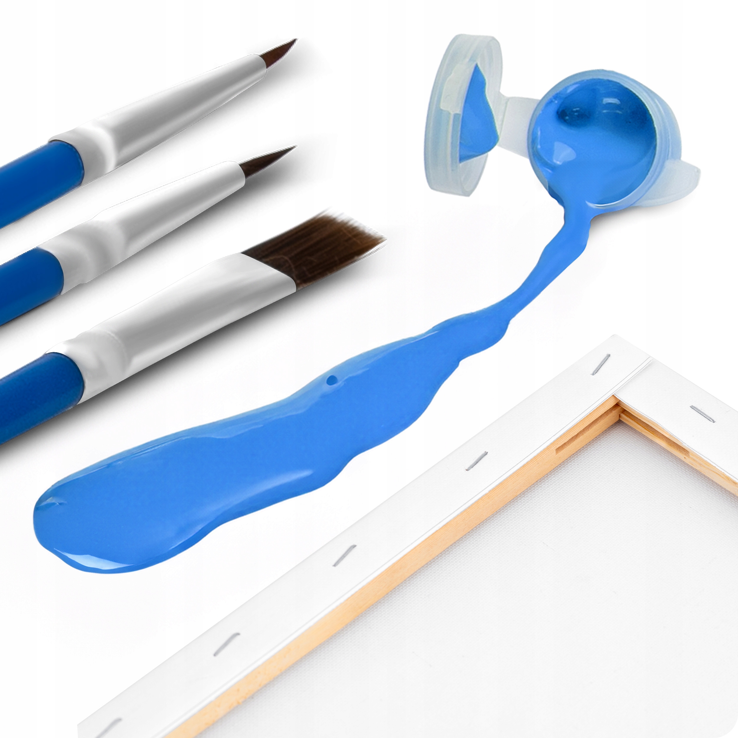 Slikanje po številkah slikanje po številkah 40x50cm na okvirju Komplet barvnih elementov kaveljčki za obešanje čopičev vzorec na platnu