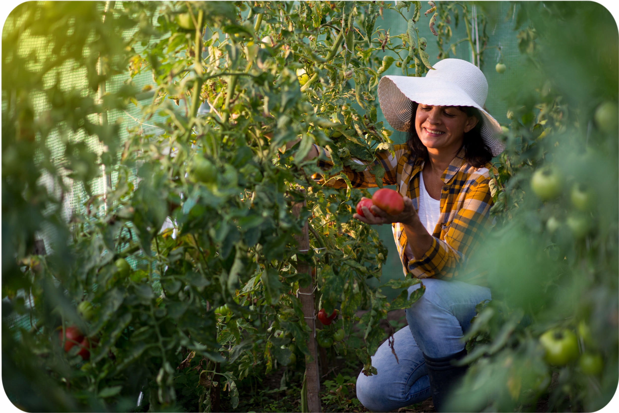 Vrtni tunel iz folije, vrtni rastlinjak, 2x4,5 m, folijski stebri, 9 m2, zelen, EAN (GTIN) 5903890624477