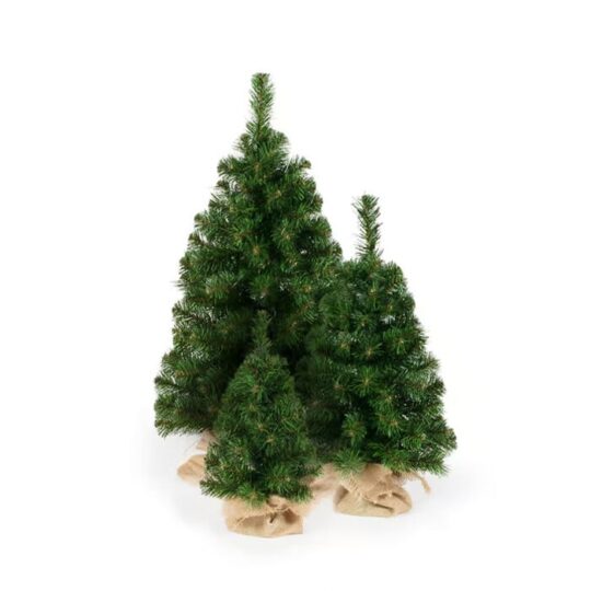 Umetni bor - majhen borek