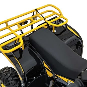 110cc Explorer žuti Benzinski Quad 9