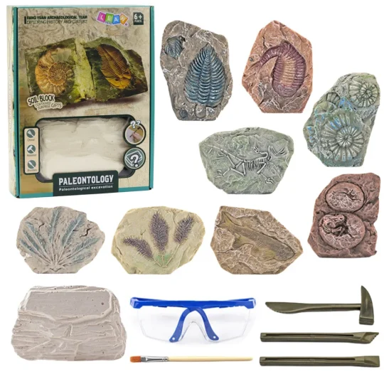 Alati Za Paleontološka Iskapanja, Gipsani Blokovi 1