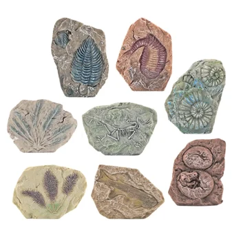 Alati Za Paleontološka Iskapanja, Gipsani Blokovi 2