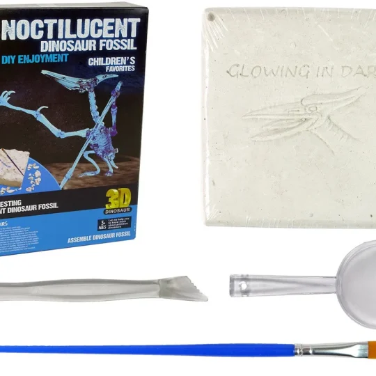 Arheološki Set Za Iskopavanje Pteranodona, 3d Hologram 1