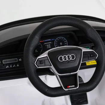 Audi Rs E Tron Gt Na Baterije Bijeli + Daljinski Upravljač + 4x4 Pogon + Mp3 Radio + Led, Bijela 9