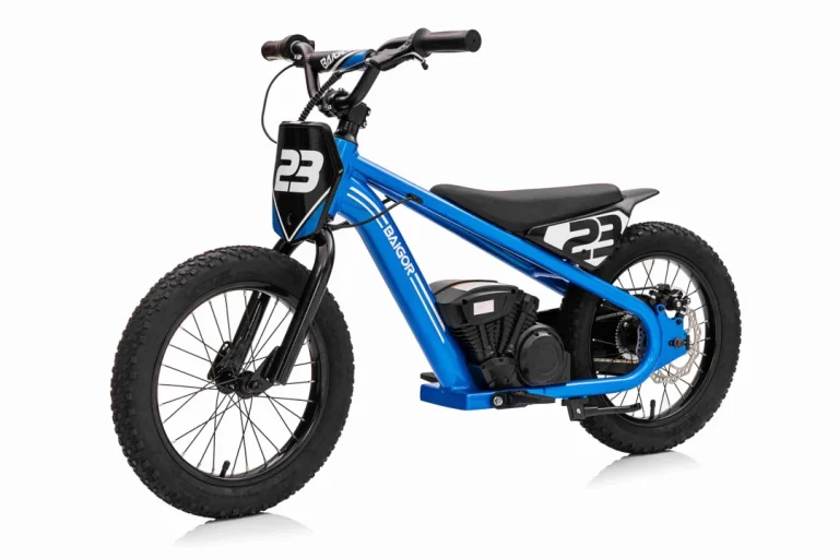 Baigor 23 Pro Plavi Motor, Plava Motor Na Akumulator 2