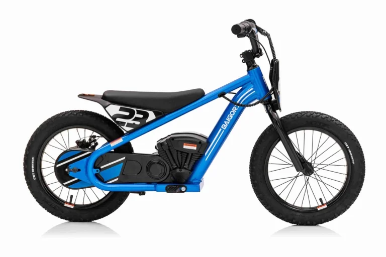 Baigor 23 Pro Plavi Motor, Plava Motor Na Akumulator 7