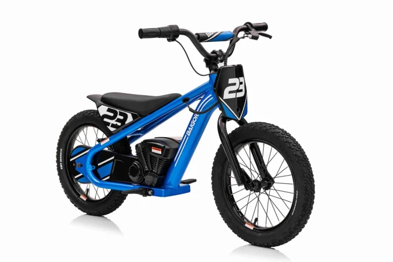 Baigor 23 Pro Plavi Motor, Plava Motor Na Akumulator 8