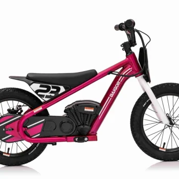 Baigor 23 Pro Rozi Motor Na Baterije Za Djecu Motor Na Akumulator 7