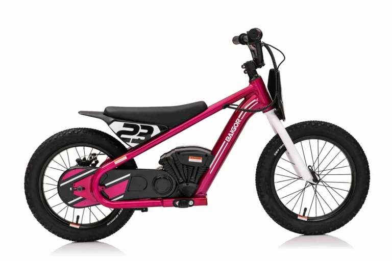 Baigor 23 Pro Rozi Motor Na Baterije Za Djecu Motor Na Akumulator 7