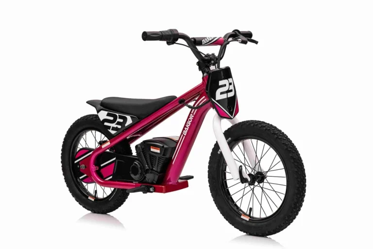 Baigor 23 Pro Rozi Motor Na Baterije Za Djecu Motor Na Akumulator 8
