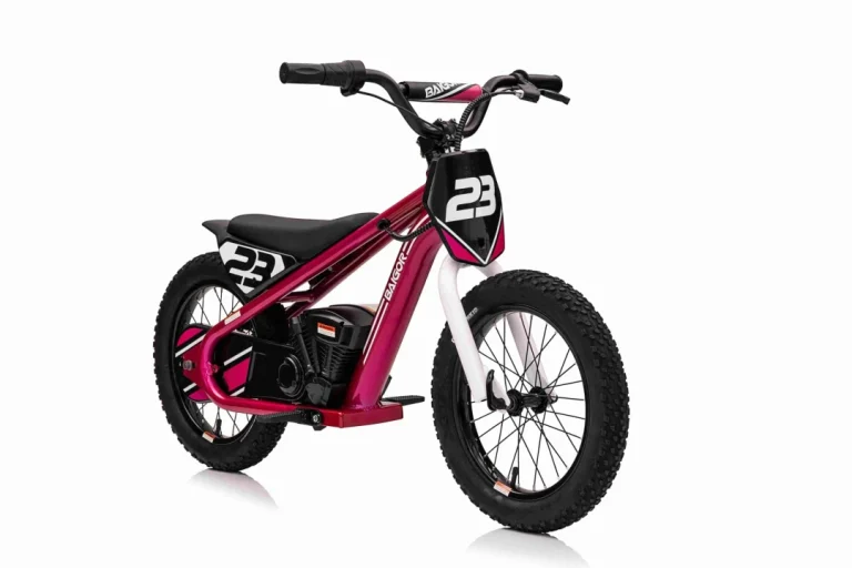 Baigor 23 Pro Rozi Motor Na Baterije Za Djecu Motor Na Akumulator 9