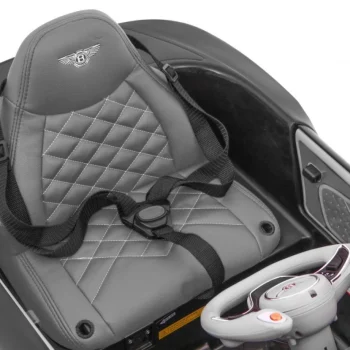 Bentley Exp 12 Auto Na Akumulator S Rc, Crni 13