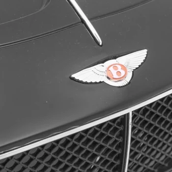 Bentley Exp 12 Auto Na Akumulator S Rc, Crni 14
