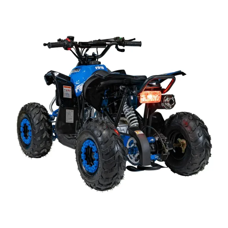 Benzinski Quad 110cc Renegade 4