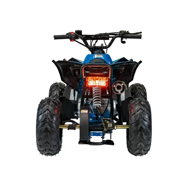 Benzinski Quad 110cc Renegade 5