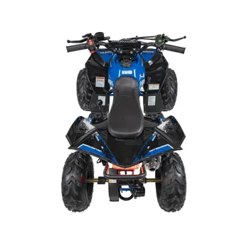 Benzinski Quad 110cc Renegade 6