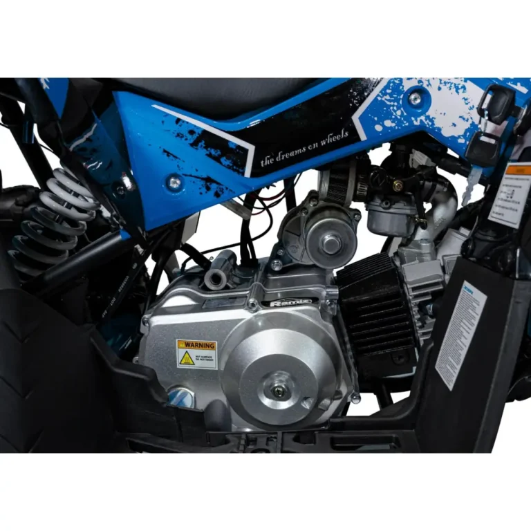 Benzinski Quad 110cc Renegade 9