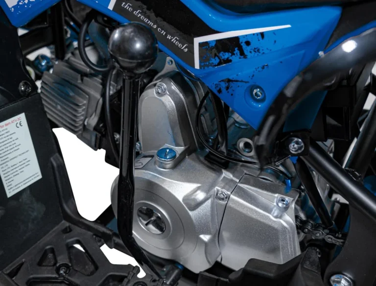 Benzinski Quad Renegade 110 Cc Plavi 15
