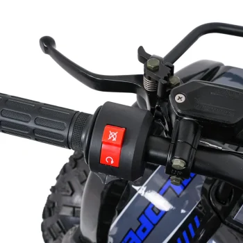 Benzinski Quad Wildpeak 110cc Plavi 30