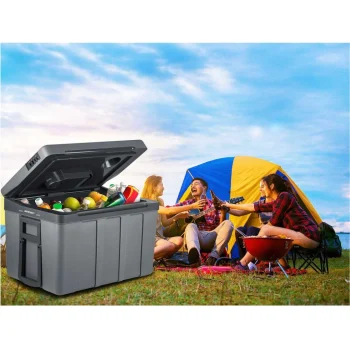 Berdsen Icemax Putni Hladnjak Od 50 Litara, Siva, Var. 3823 11