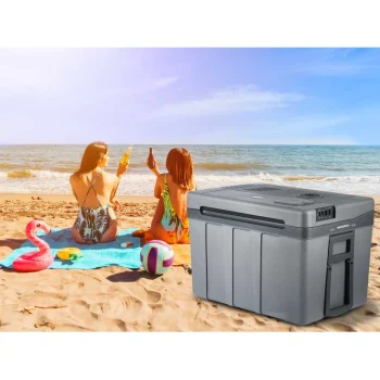 Berdsen Icemax Putni Hladnjak Od 50 Litara, Siva, Var. 3823 12