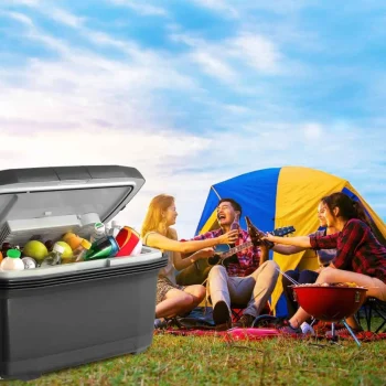 Berdsen Icemax Putni Hladnjak Od 50 Litara, Siva 5