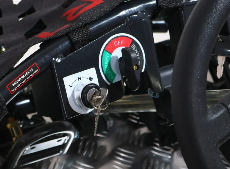 Brzi Zmaj Crni Baterijski Go Kart 30km/h + 1000w Motor + Napuhani Kotači + Podešavanje, Crna Motor Na Akumulator 16