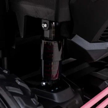 Buggy Maverick Turbo Rr Ružičasti 22