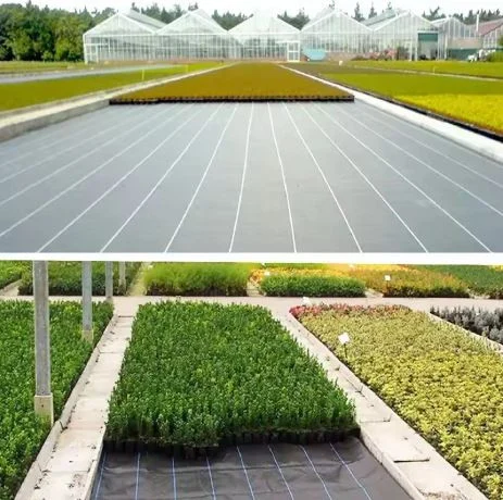 Crni Agrotekstil Protiv Korova 100 Cm × 50 M 70 G/m² + Sidra 2