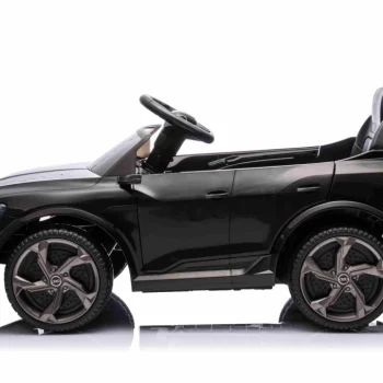 Crno Vozilo Audi Sq8 17
