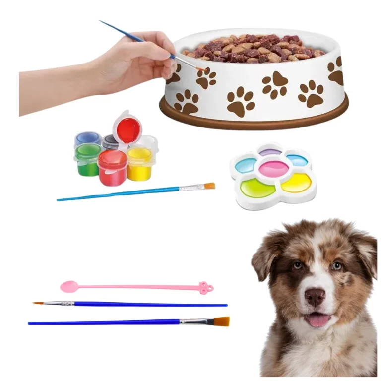 Diy Set Za Slikanje Zdjelice Za Psa, 6 Komada 4