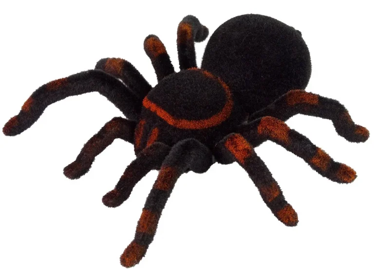 Daljinski Upravljani Crni Tarantula Pauk Na Daljinsko Upravljanje 2