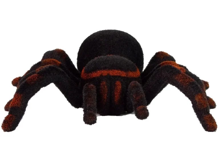 Daljinski Upravljani Crni Tarantula Pauk Na Daljinsko Upravljanje 3