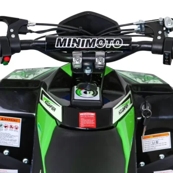 E Star Quad Na Baterije Zeleni 35 Km/h + 1000 W Motor + Pneumatske Gume + Podešavanje, Zelena Motor Na Akumulator 16