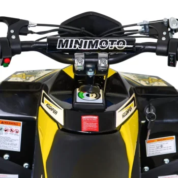 E Star Quad Na Akumulator 1000 W, žuti 16