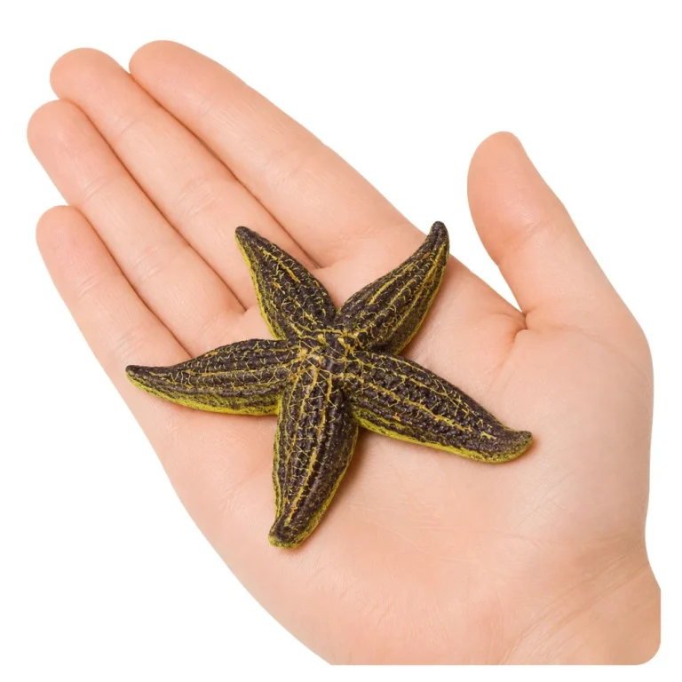 Gumena Figurica Morske Zvijezde Rastezljiva 9,5 Cm 2