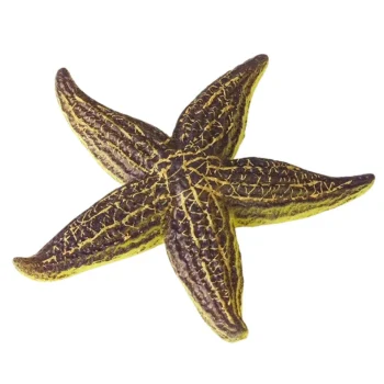 Gumena Figurica Morske Zvijezde Rastezljiva 9,5 Cm 3