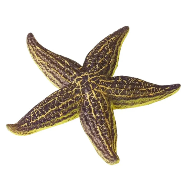 Gumena Figurica Morske Zvijezde Rastezljiva 9,5 Cm 3