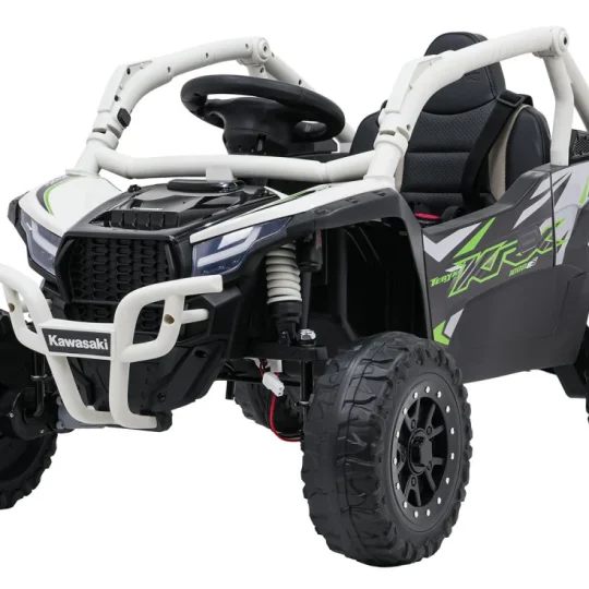 Kawasaki Teryx Krx1000 Buggy Siva 1